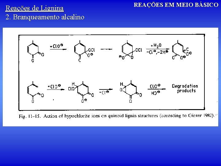 Reações de Lignina 2. Branqueamento alcalino REAÇÕES EM MEIO BÁSICO 