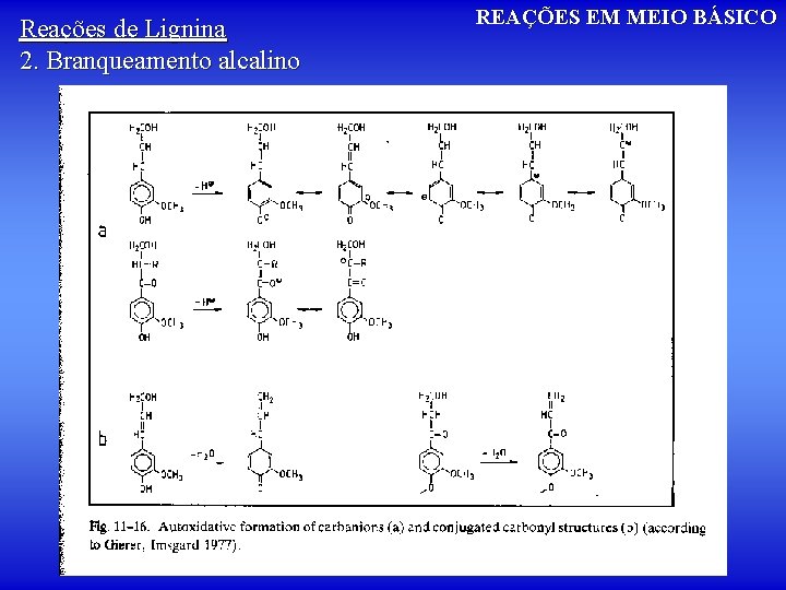 Reações de Lignina 2. Branqueamento alcalino REAÇÕES EM MEIO BÁSICO 