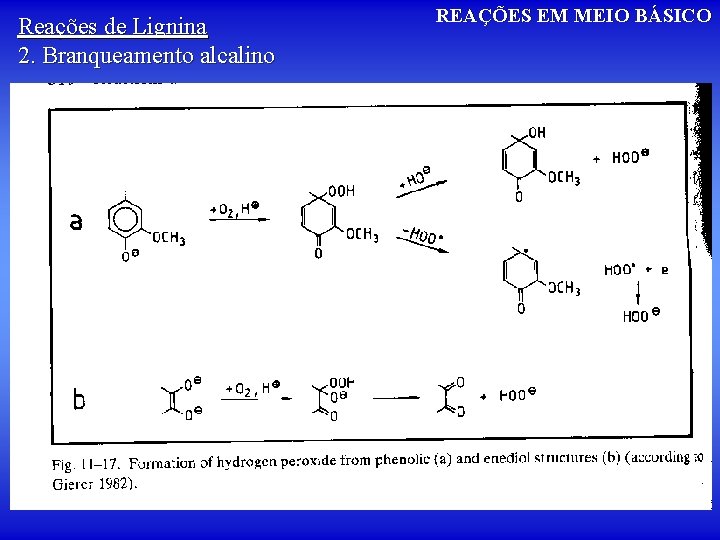 Reações de Lignina 2. Branqueamento alcalino REAÇÕES EM MEIO BÁSICO 