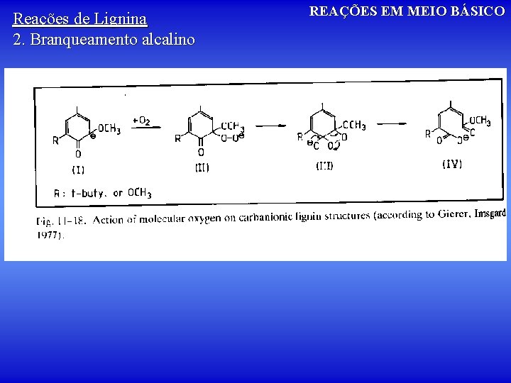 Reações de Lignina 2. Branqueamento alcalino REAÇÕES EM MEIO BÁSICO 