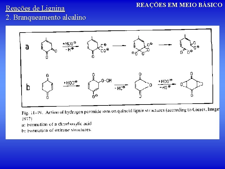 Reações de Lignina 2. Branqueamento alcalino REAÇÕES EM MEIO BÁSICO 