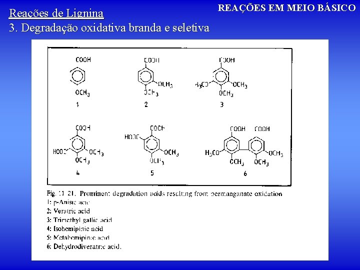 REAÇÕES EM MEIO BÁSICO Reações de Lignina 3. Degradação oxidativa branda e seletiva 