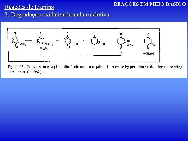 REAÇÕES EM MEIO BÁSICO Reações de Lignina 3. Degradação oxidativa branda e seletiva 