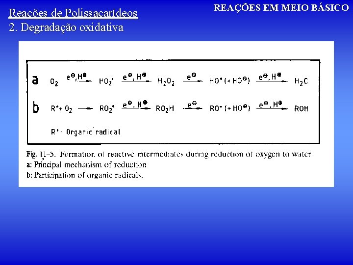 Reações de Polissacarídeos 2. Degradação oxidativa REAÇÕES EM MEIO BÁSICO 