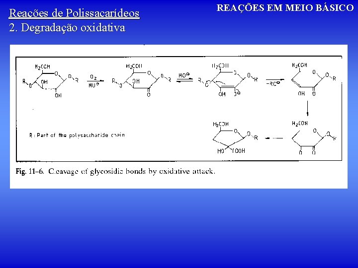 Reações de Polissacarídeos 2. Degradação oxidativa REAÇÕES EM MEIO BÁSICO 