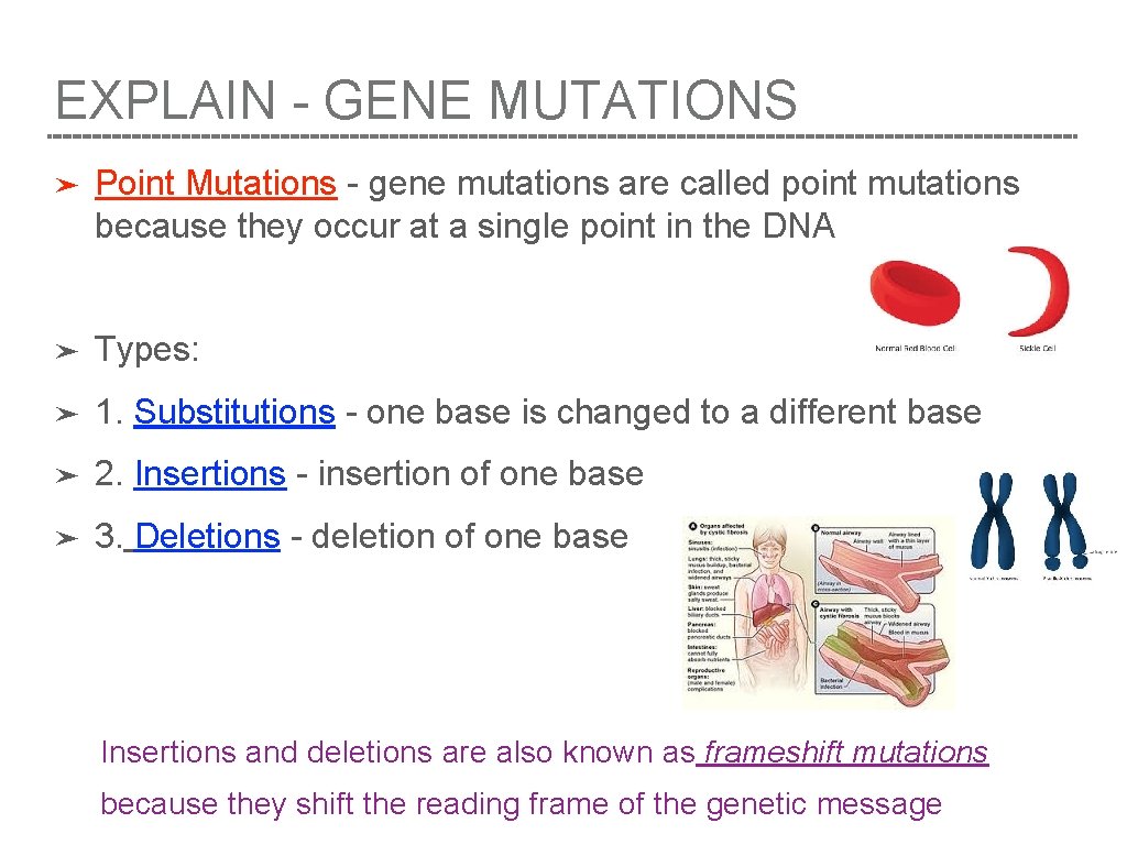 EXPLAIN - GENE MUTATIONS ➤ Point Mutations - gene mutations are called point mutations