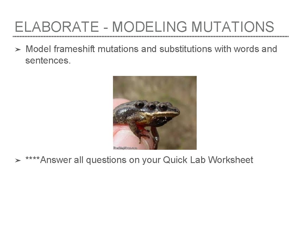 ELABORATE - MODELING MUTATIONS ➤ Model frameshift mutations and substitutions with words and sentences.