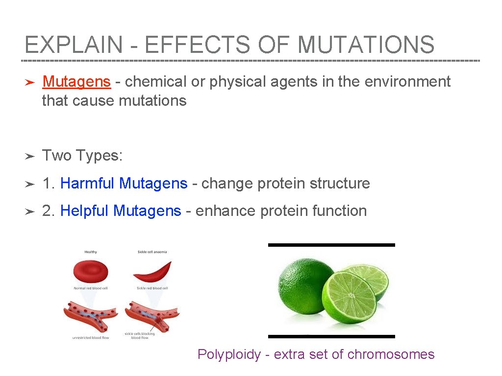 EXPLAIN - EFFECTS OF MUTATIONS ➤ Mutagens - chemical or physical agents in the