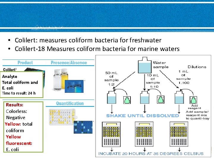  • Colilert: measures coliform bacteria for freshwater • Colilert-18 Measures coliform bacteria for