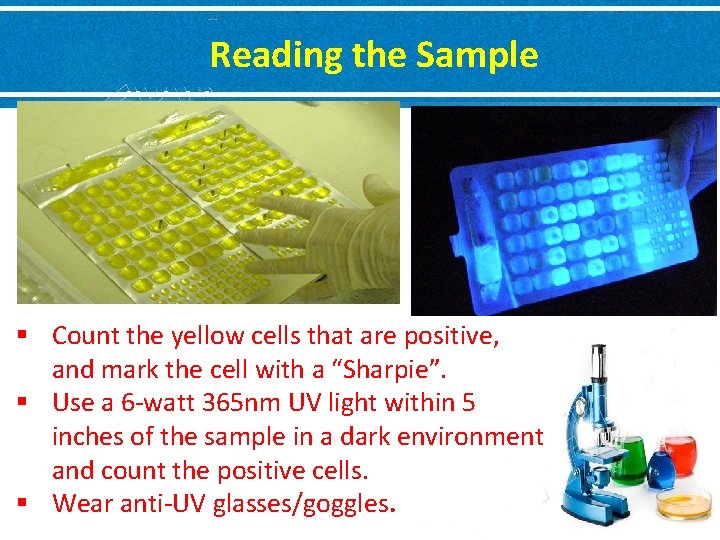 Reading the Sample § Count the yellow cells that are positive, and mark the