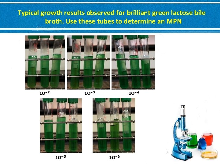 Typical growth results observed for brilliant green lactose bile broth. Use these tubes to