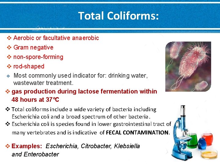 Total Coliforms: v Aerobic or facultative anaerobic v Gram negative v non-spore-forming v rod-shaped