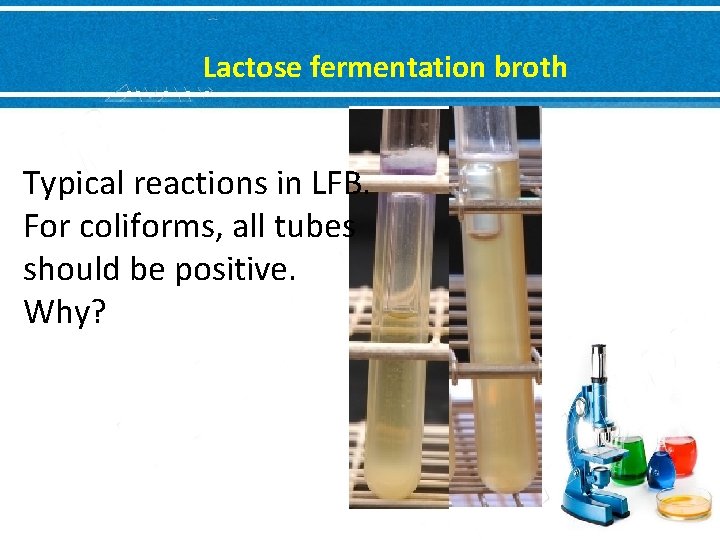 Lactose fermentation broth Typical reactions in LFB. For coliforms, all tubes should be positive.