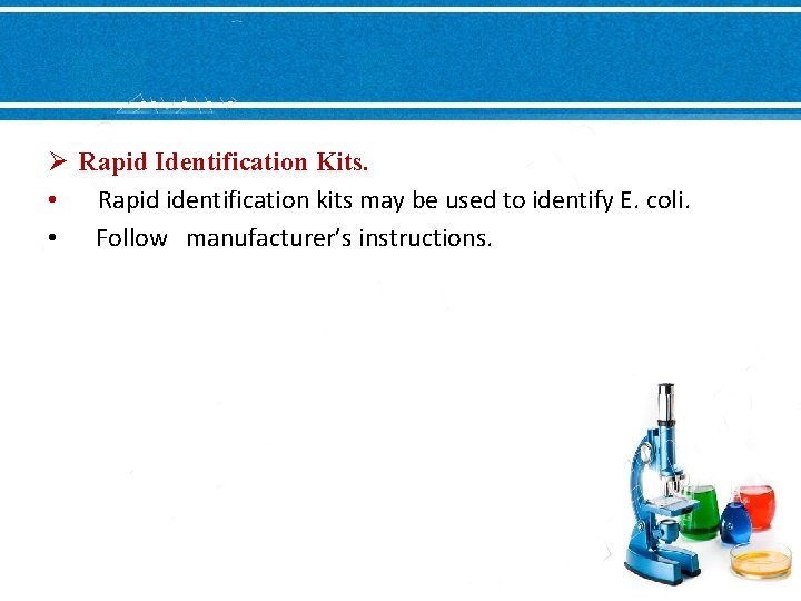 Ø Rapid Identification Kits. • Rapid identification kits may be used to identify E.