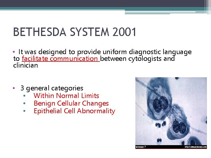 BETHESDA SYSTEM 2001 • It was designed to provide uniform diagnostic language to facilitate
