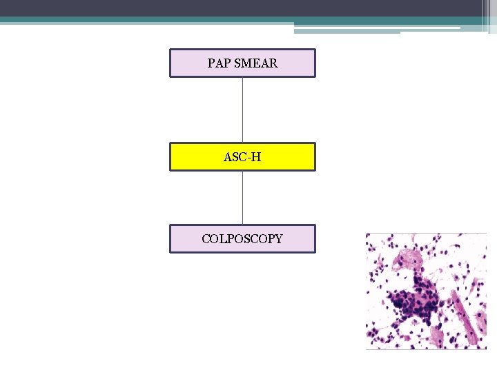 PAP SMEAR ASC-H COLPOSCOPY 