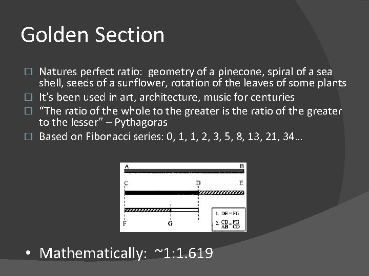 Golden Section Natures perfect ratio: geometry of a pinecone, spiral of a sea shell,