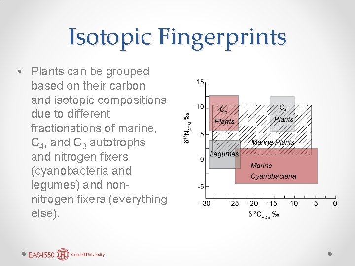 Isotopic Fingerprints • Plants can be grouped based on their carbon and isotopic compositions