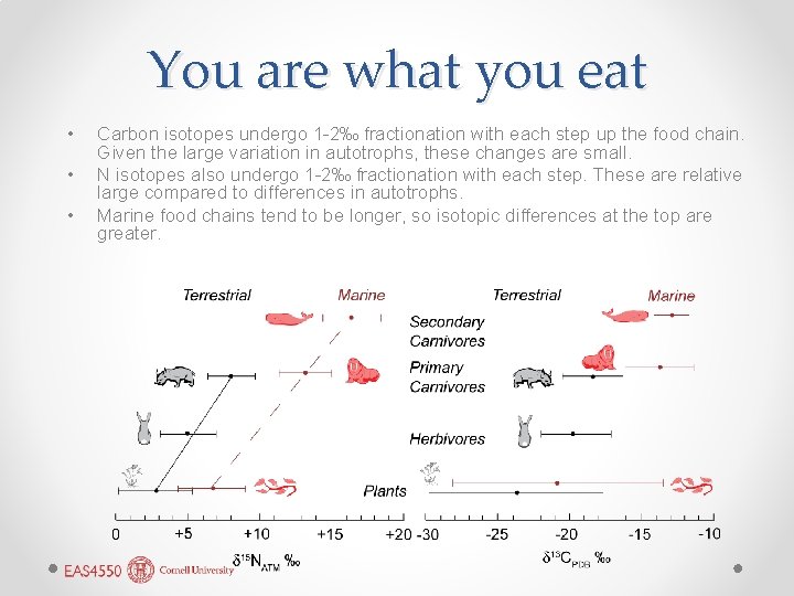 You are what you eat • • • Carbon isotopes undergo 1 -2‰ fractionation