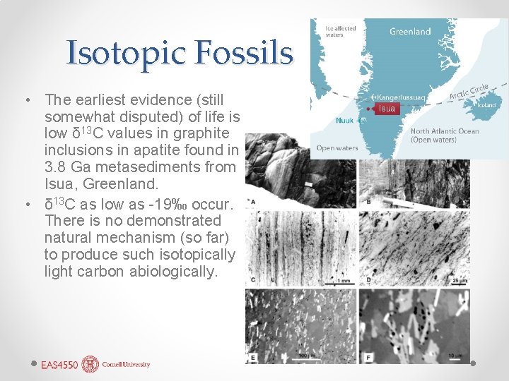 Isotopic Fossils • The earliest evidence (still somewhat disputed) of life is low δ