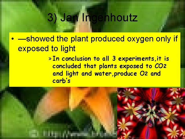 3) Jan Ingenhoutz • —showed the plant produced oxygen only if exposed to light