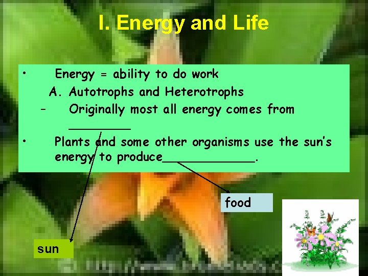 I. Energy and Life • • Energy = ability to do work A. Autotrophs