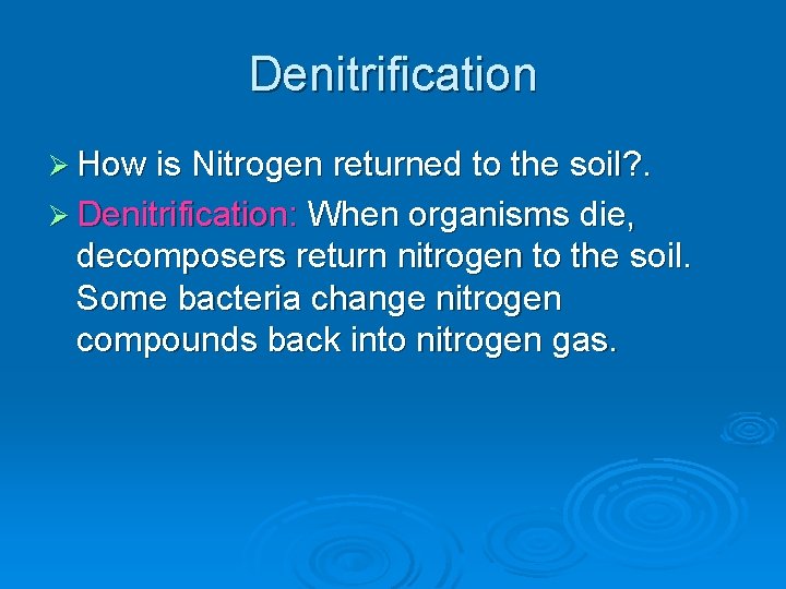 Denitrification Ø How is Nitrogen returned to the soil? . Ø Denitrification: When organisms