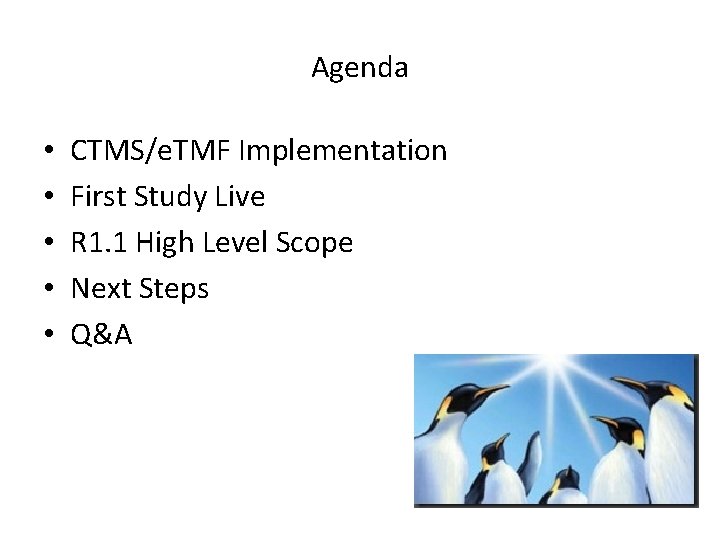 Agenda • • • 2 2 CTMS/e. TMF Implementation First Study Live R 1.