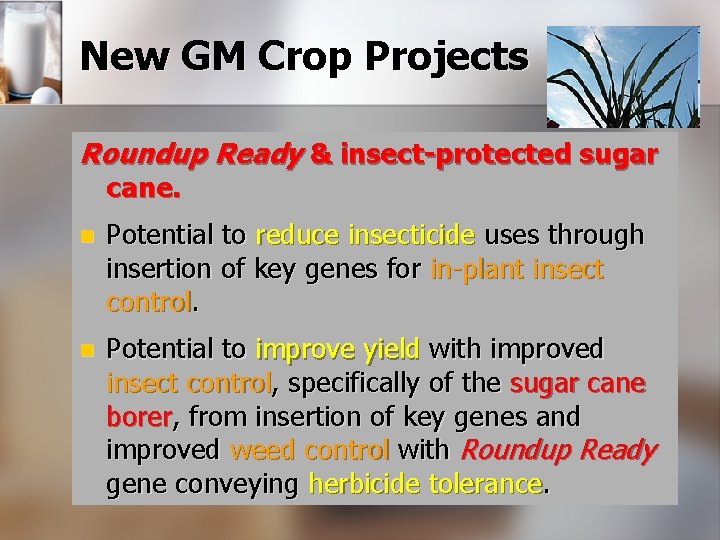 New GM Crop Projects Roundup Ready & insect-protected sugar cane. n Potential to reduce