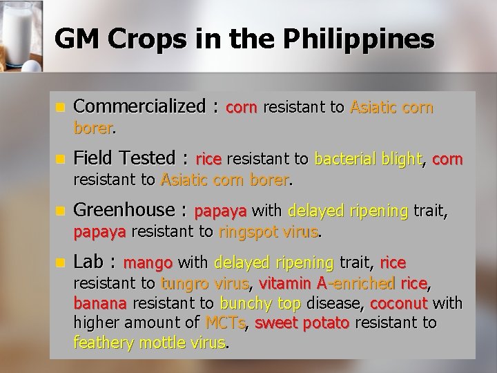 GM Crops in the Philippines n Commercialized : corn resistant to Asiatic corn borer.