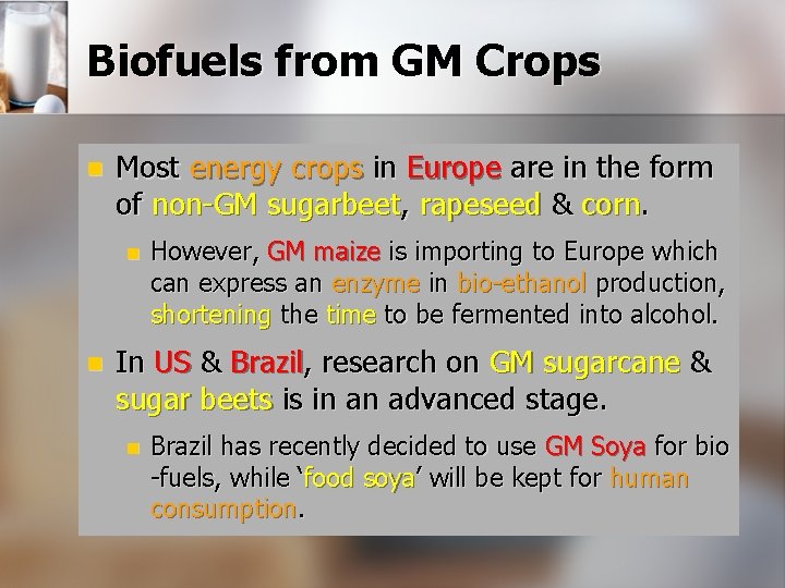 Biofuels from GM Crops n Most energy crops in Europe are in the form