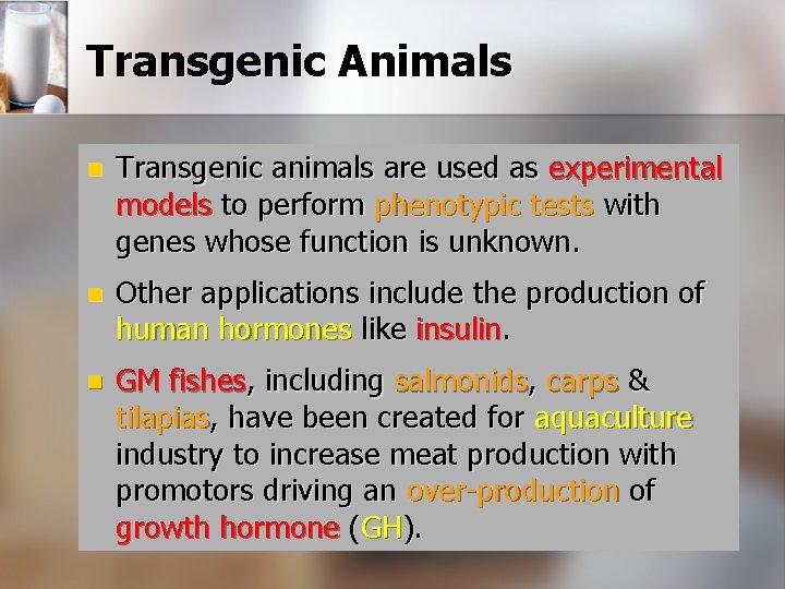 Transgenic Animals n Transgenic animals are used as experimental models to perform phenotypic tests