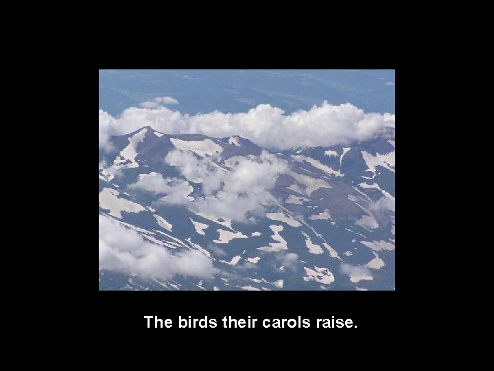 The birds their carols raise. 