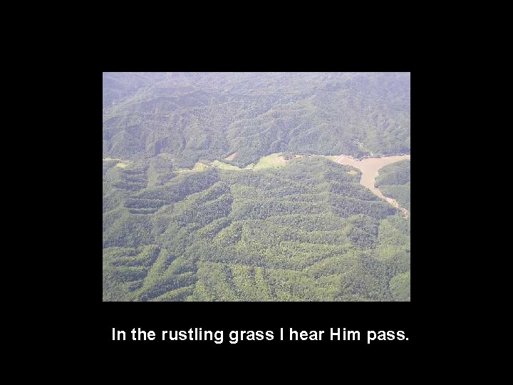 In the rustling grass I hear Him pass. 