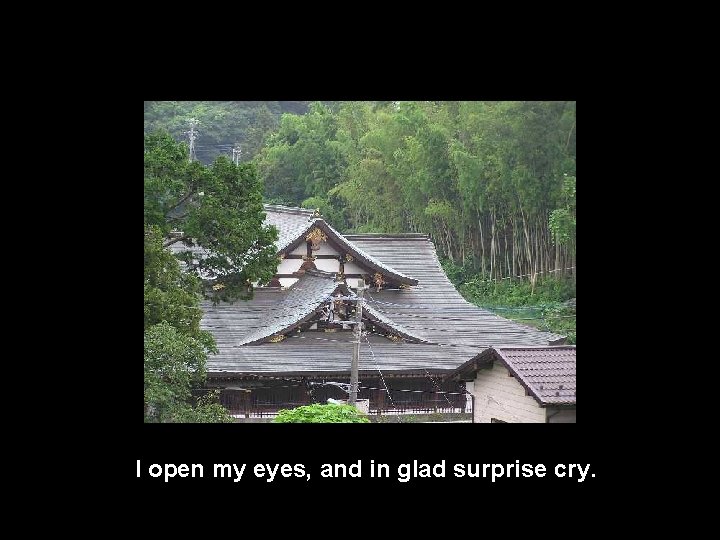 I open my eyes, and in glad surprise cry. 