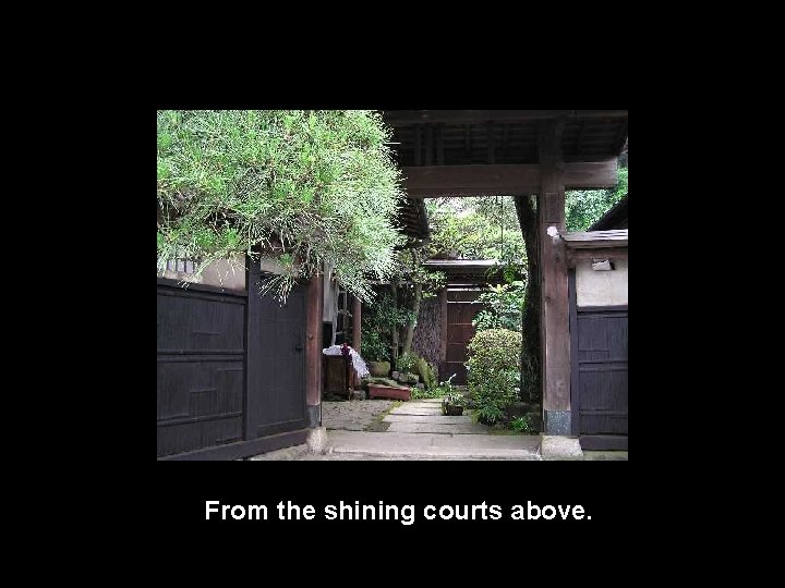 From the shining courts above. 