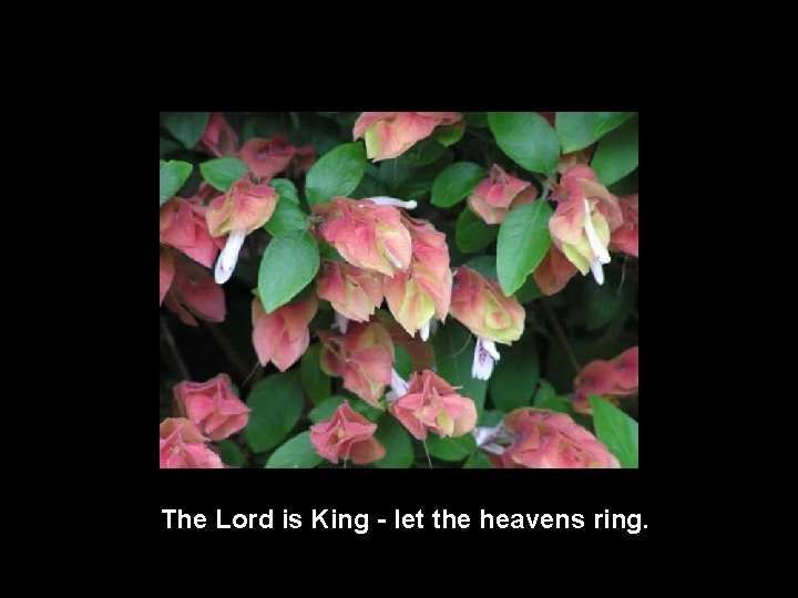 The Lord is King - let the heavens ring. 