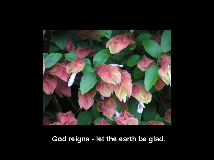 God reigns - let the earth be glad. 