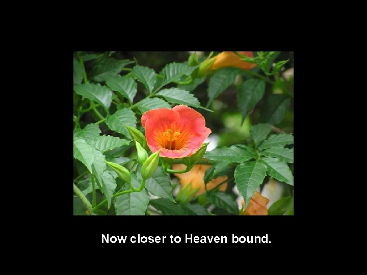 Now closer to Heaven bound. 