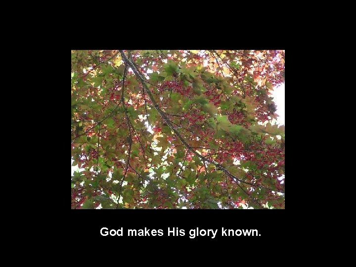 God makes His glory known. 