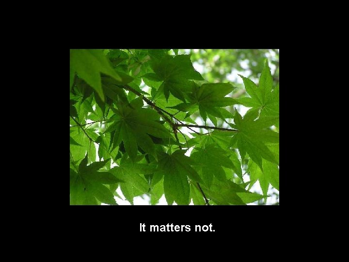 It matters not. 