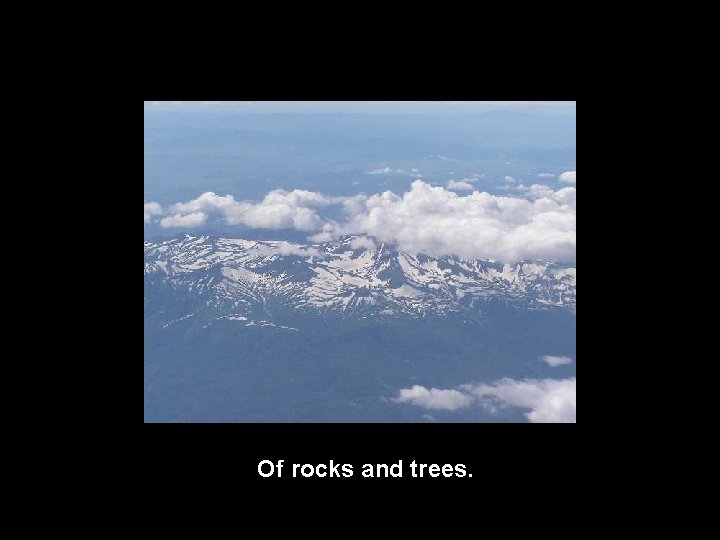 Of rocks and trees. 