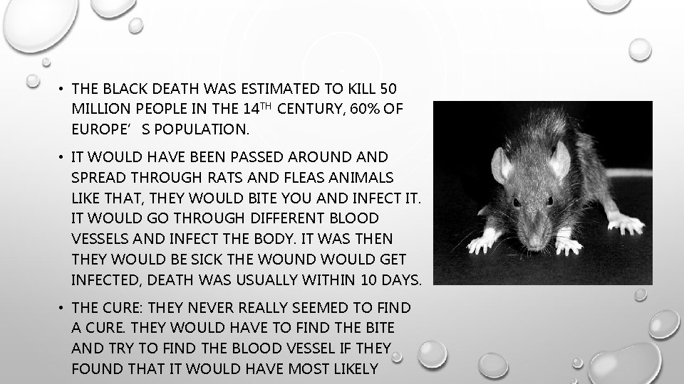  • THE BLACK DEATH WAS ESTIMATED TO KILL 50 MILLION PEOPLE IN THE