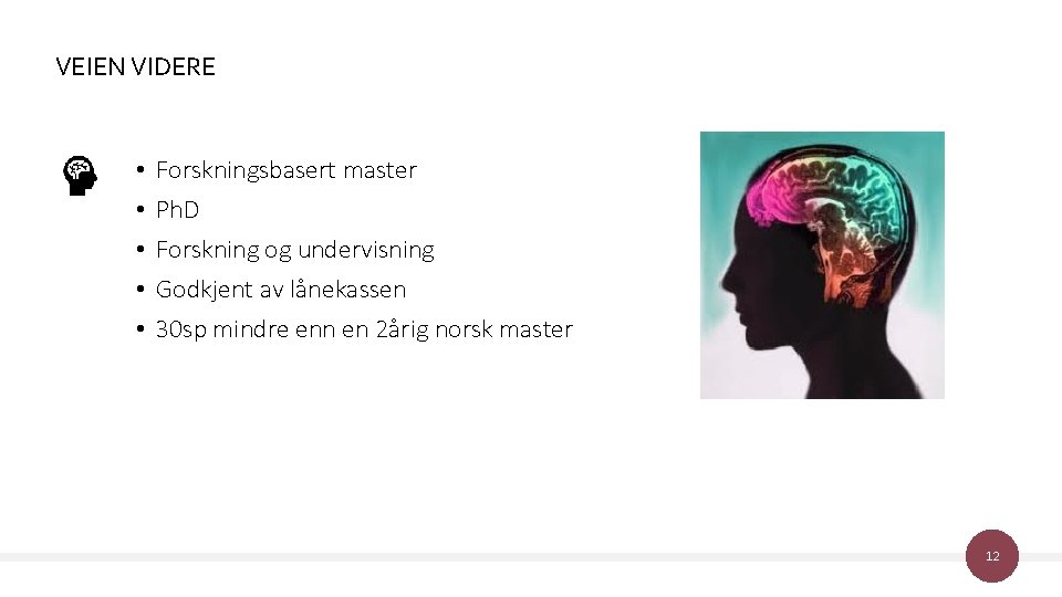 VEIEN VIDERE • • • Forskningsbasert master Ph. D Forskning og undervisning Godkjent av