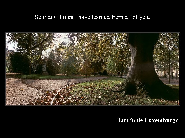 So many things I have learned from all of you. Jardín de Luxemburgo 