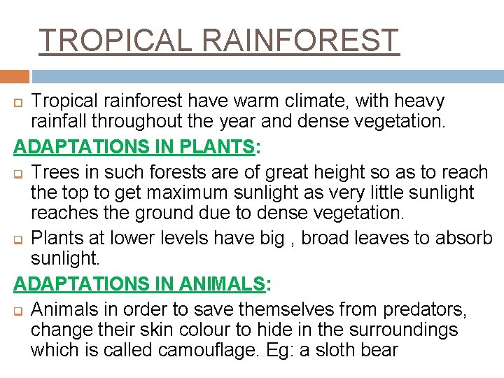 TROPICAL RAINFOREST Tropical rainforest have warm climate, with heavy rainfall throughout the year and