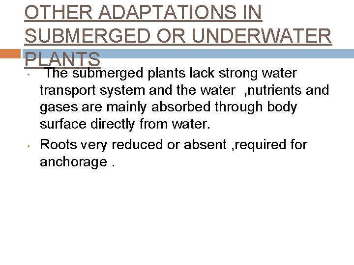 OTHER ADAPTATIONS IN SUBMERGED OR UNDERWATER PLANTS • • The submerged plants lack strong
