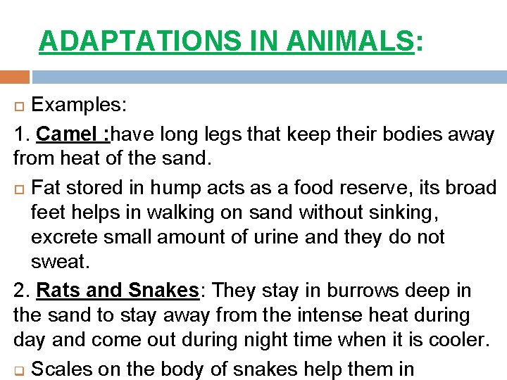 ADAPTATIONS IN ANIMALS: Examples: 1. Camel : have long legs that keep their bodies
