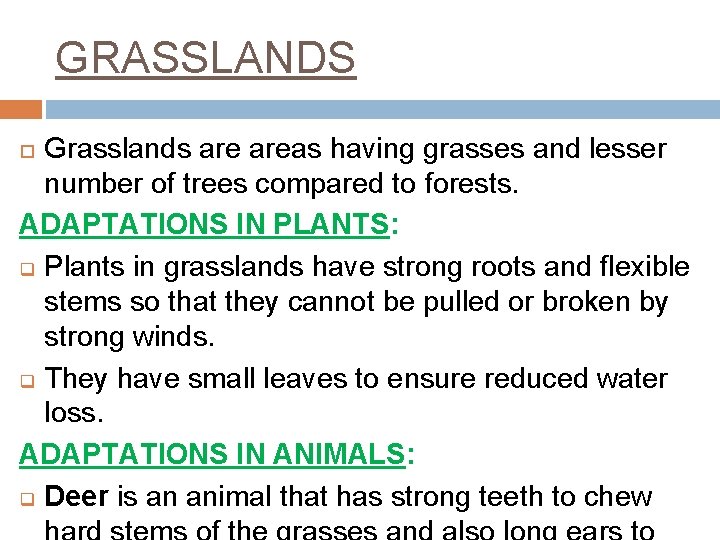 GRASSLANDS Grasslands areas having grasses and lesser number of trees compared to forests. ADAPTATIONS