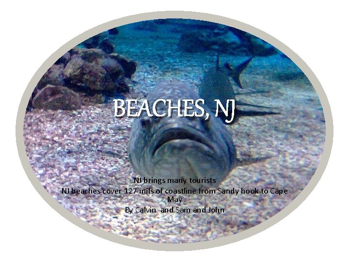 BEACHES, NJ NJ brings many tourists NJ beaches cover 127 mils of coastline from